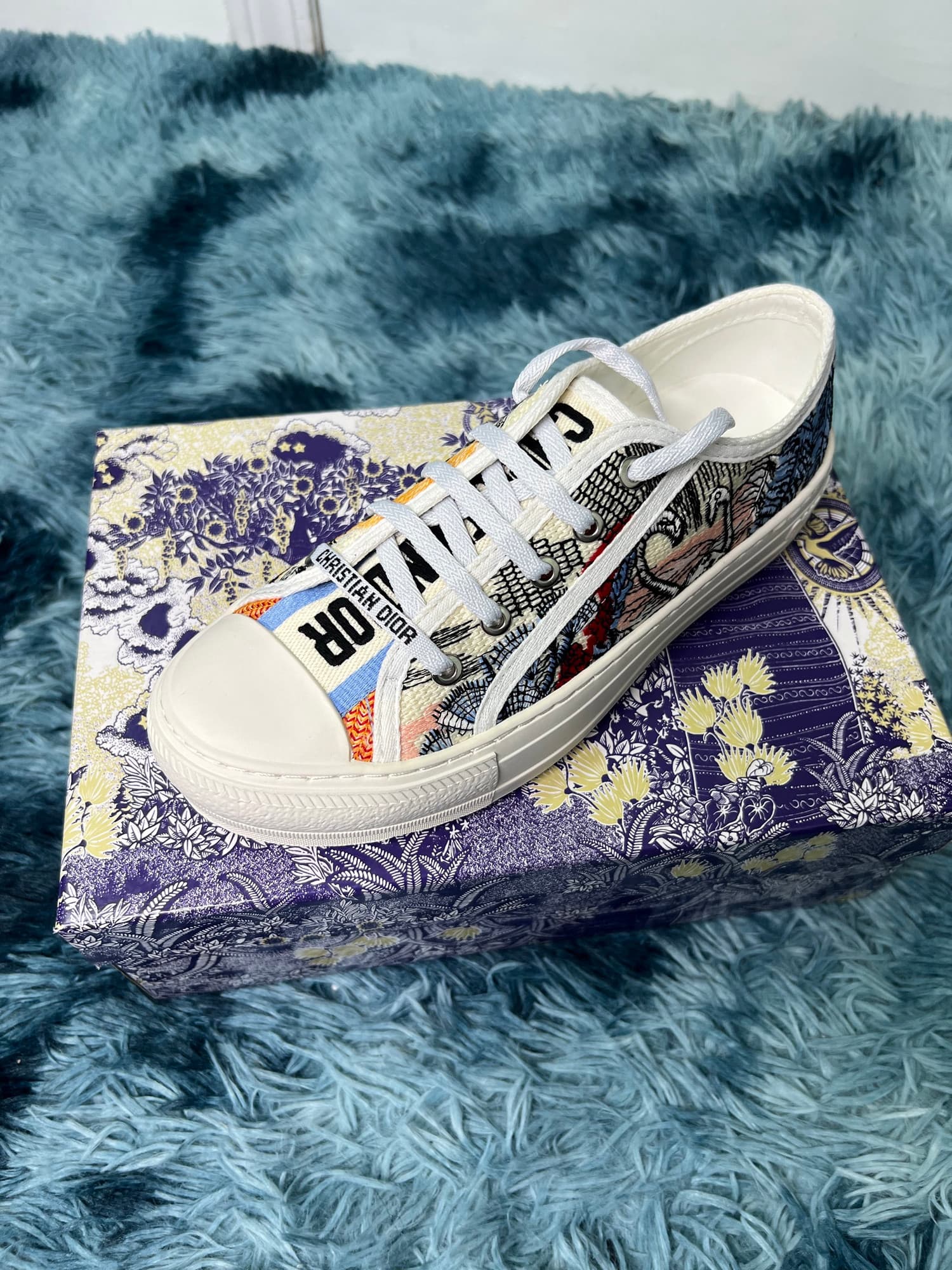 DIOR SHOES