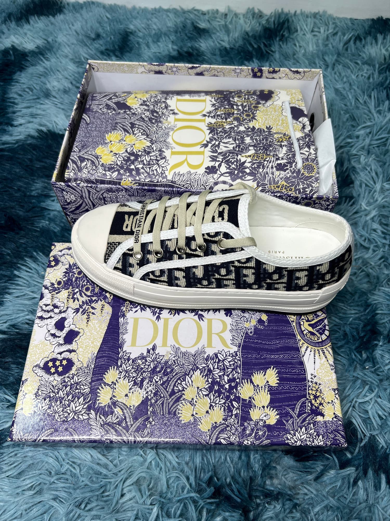DIOR SHOES